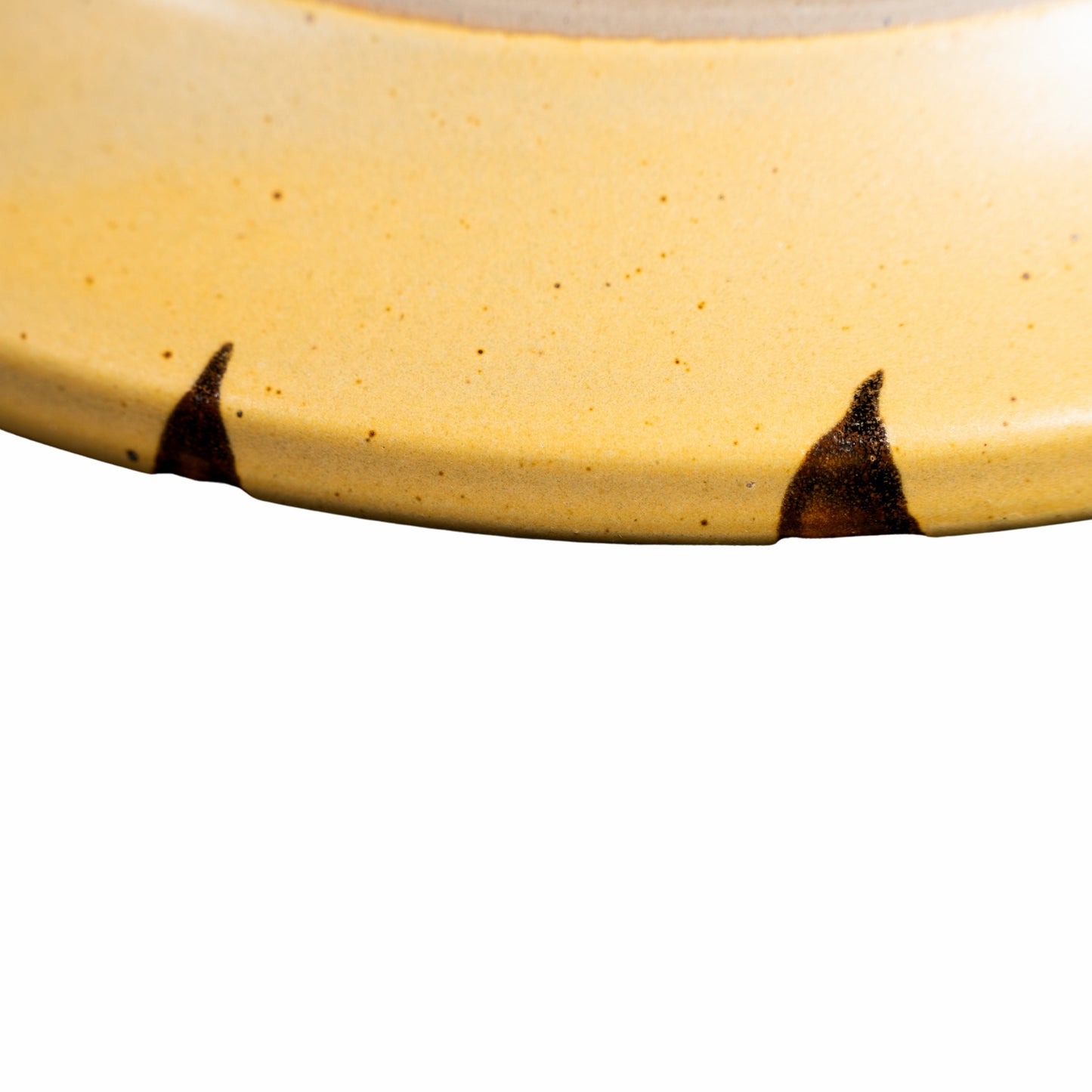 Assiette Grande "Tiger" 2 Stk.