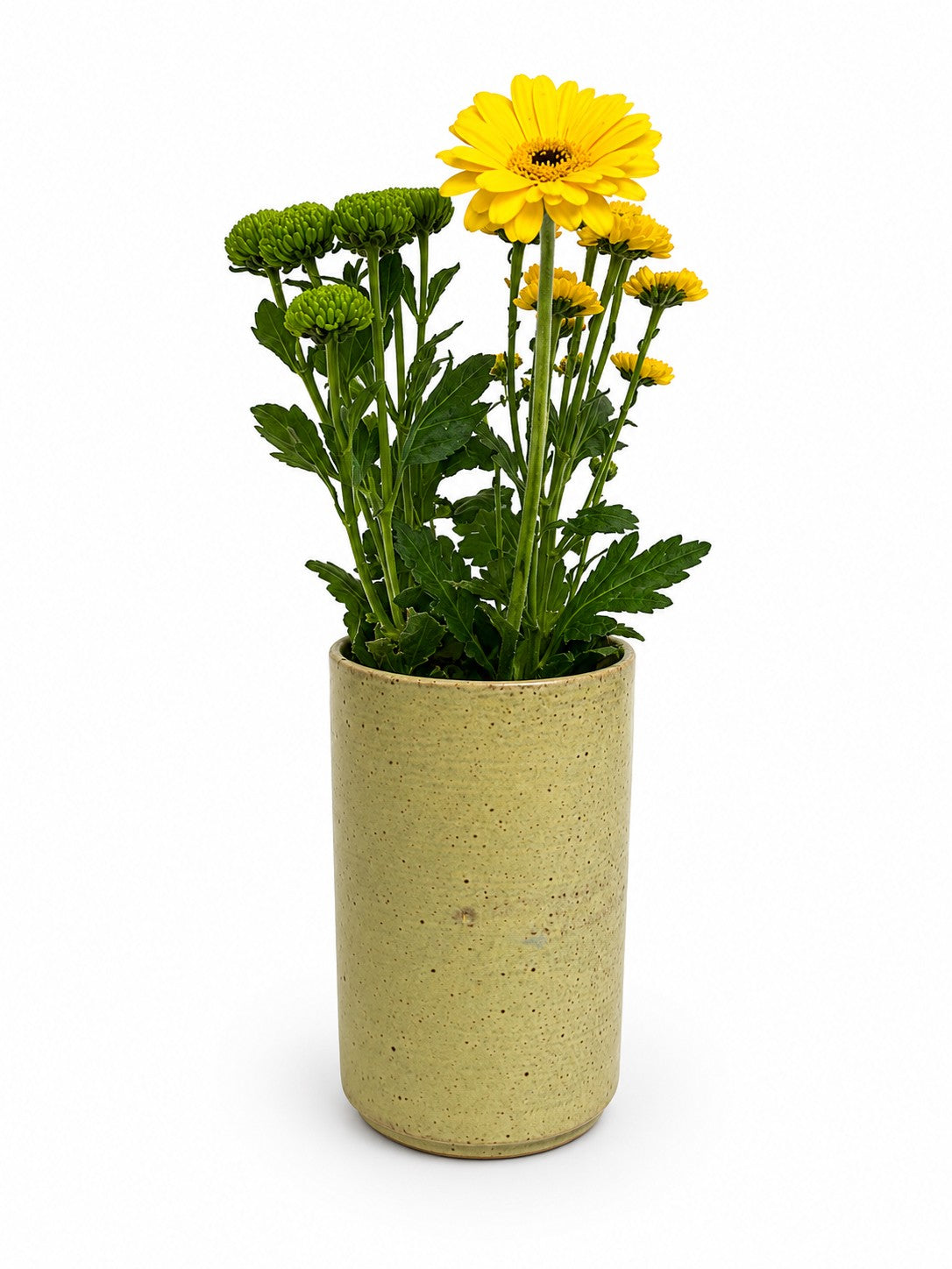 Jarrón Ikebana alto "Asia grande"