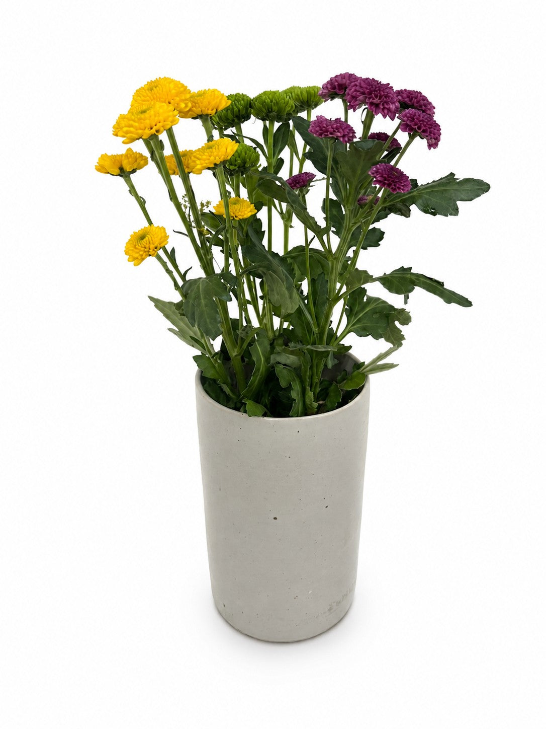 Jarrón Ikebana alto "Asia grande"